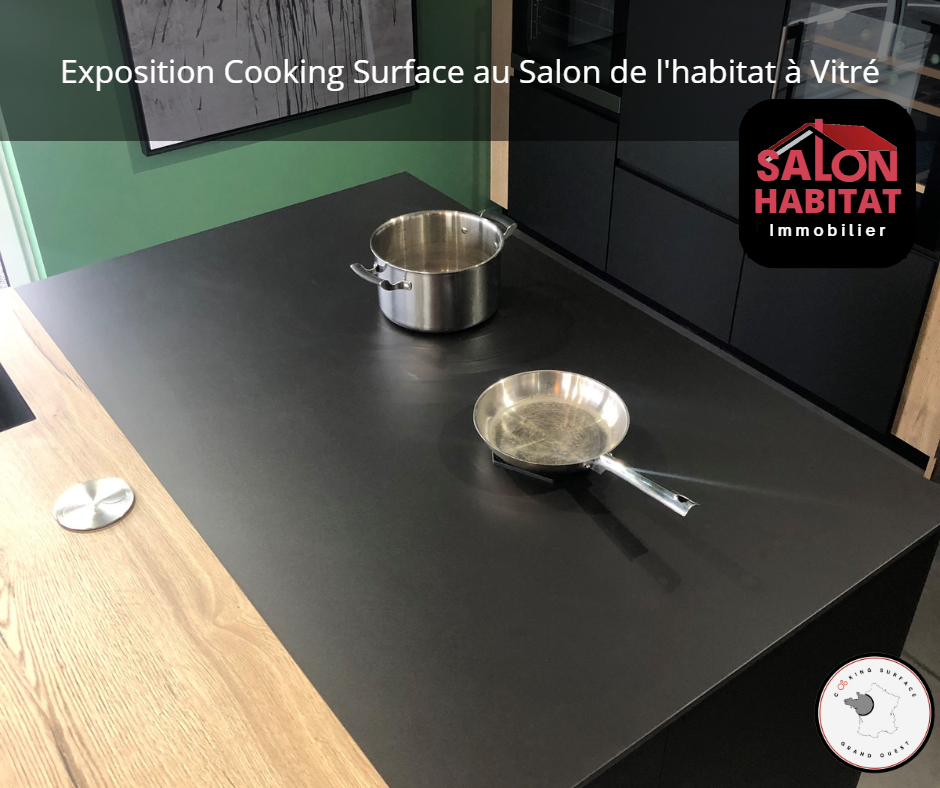 Publication cooking surface